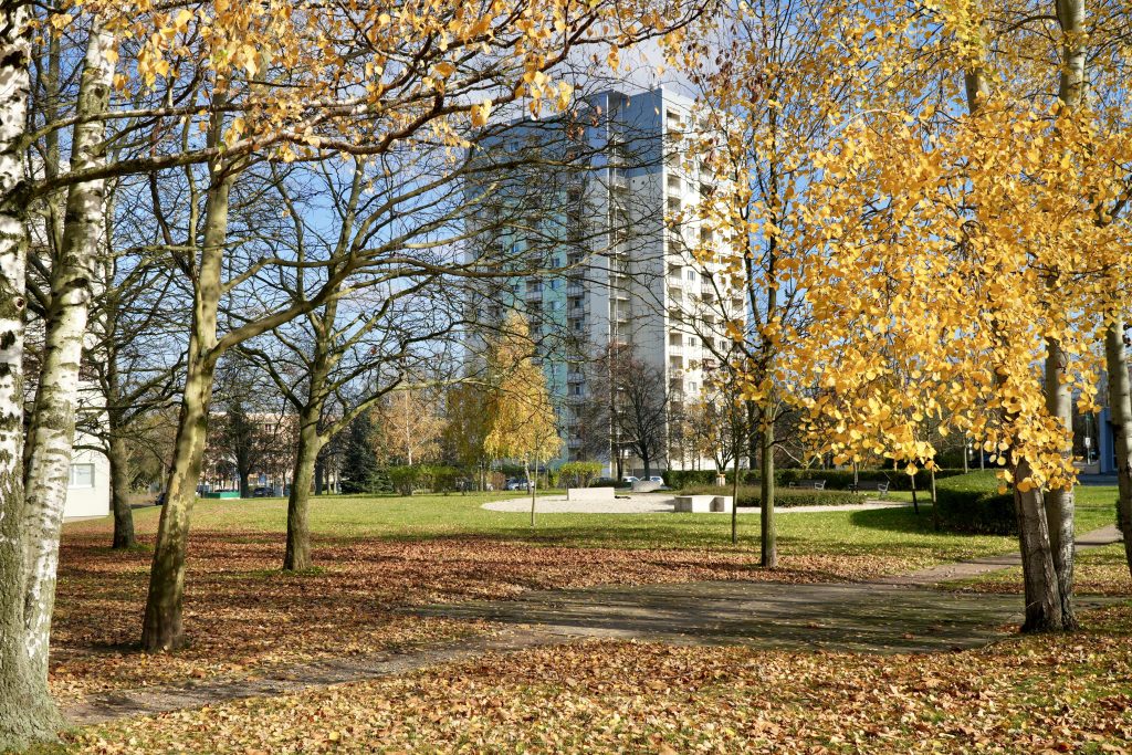 Sauberer Sonnenstein