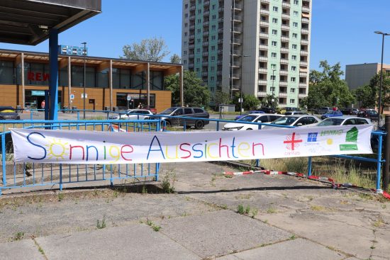 IMG 3486-Kopie-Kopie